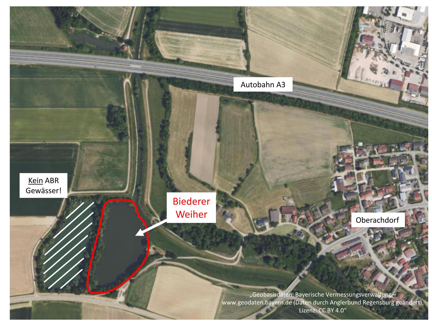 Biederer Weiher 1