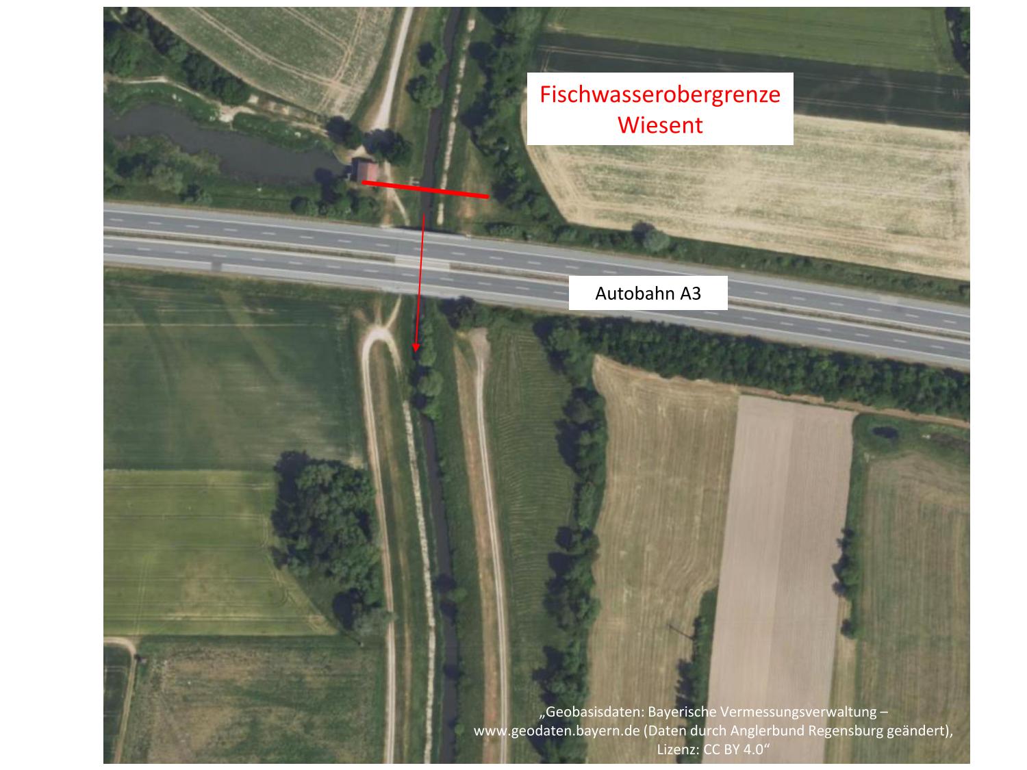 Wiesent Obergrenze 1