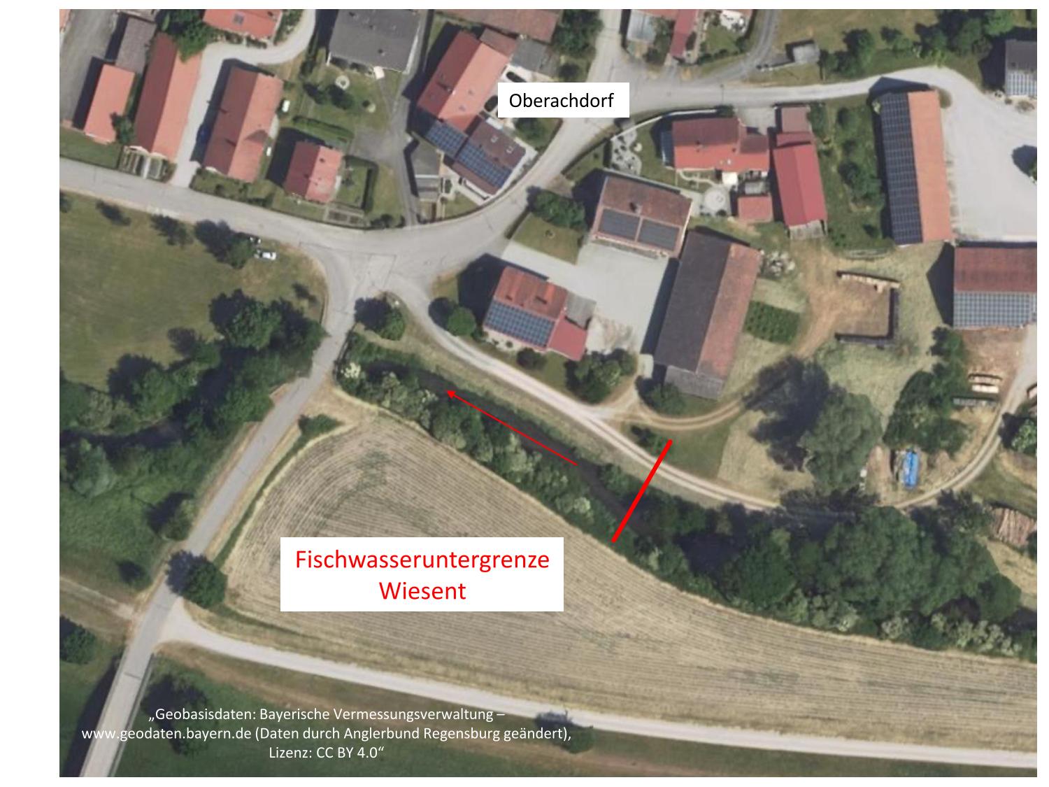 Wiesent Untergrenze 1